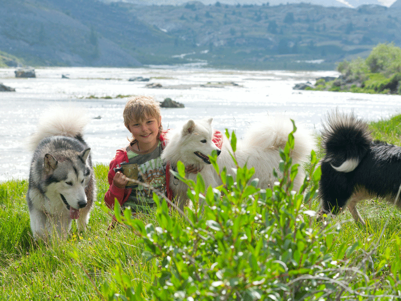 jeune garçon dans l'herbe avec des chiens de canirando en colo