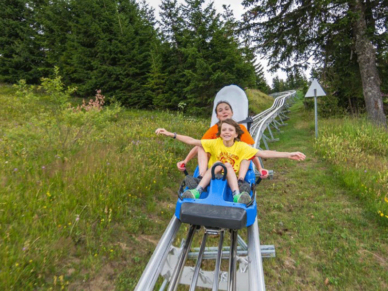 Adolescents en balade en luge sur rails en colonie de vacances 