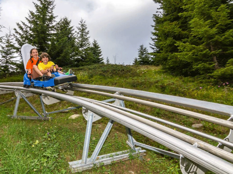 adolescents faisant de la luge sur rails en colonie de vacances à la montagne