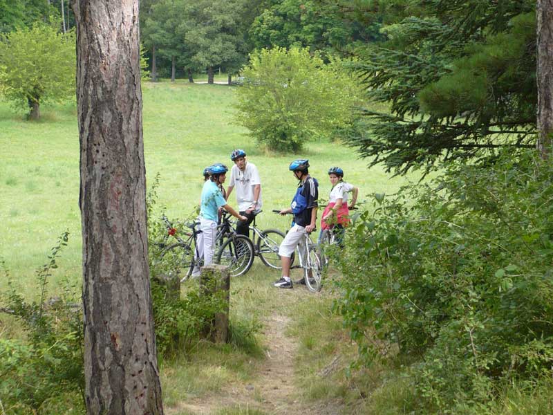 Les jeunes de la colonie faisant du VTT dans les bois