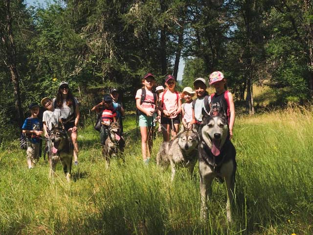 groupe de jeunes en cani rando colonie de vacances printemps 