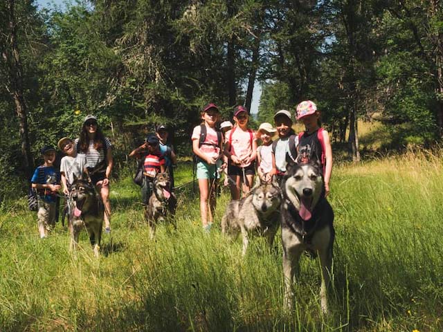 groupe d'ados et enfants en cani randonnée en colo cet été