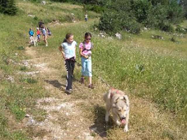 fillettes en balade avec un chien en canirando cet été en colo