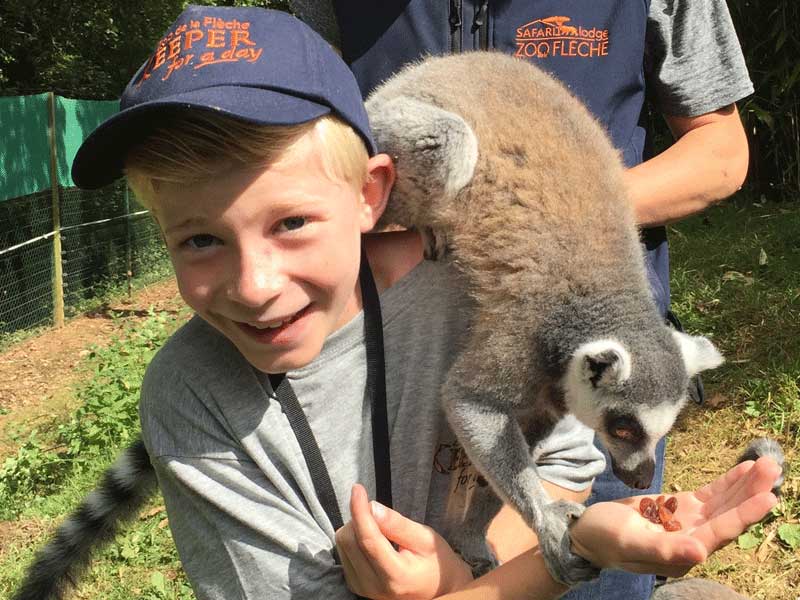 Enfant avec un lémurien en colonie de vacances au zoo durant l'été