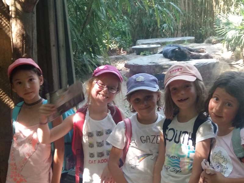 Groupe d'enfants au zoo de la Flèche cet été