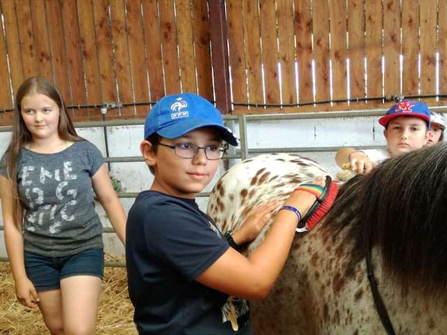 Enfant qui brosse un cheval en colo au zoo de la Flèche France