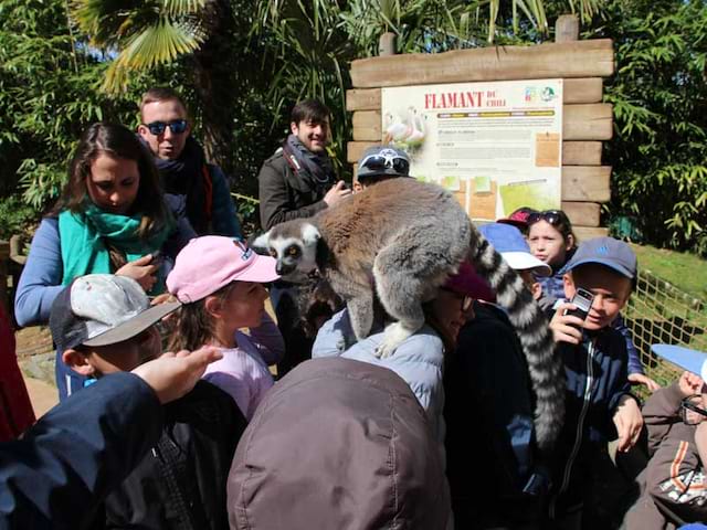 Guide de colo qui explique aux enfants le zoo de la Flèche