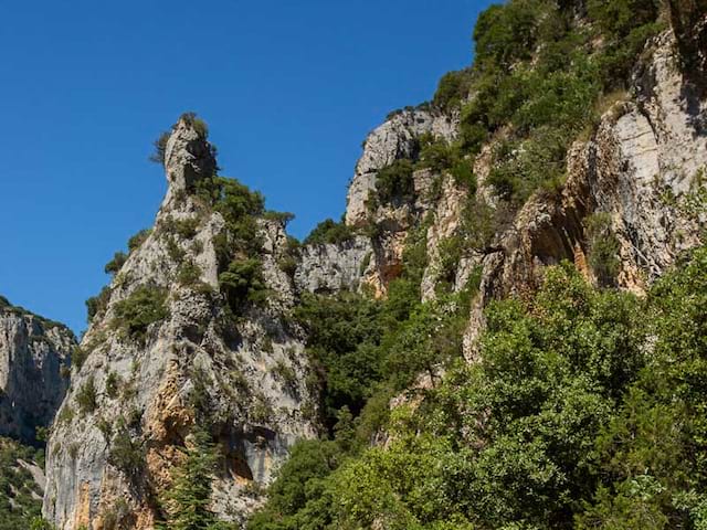 Paysage de l'ardèche cet été en colonie de vacances