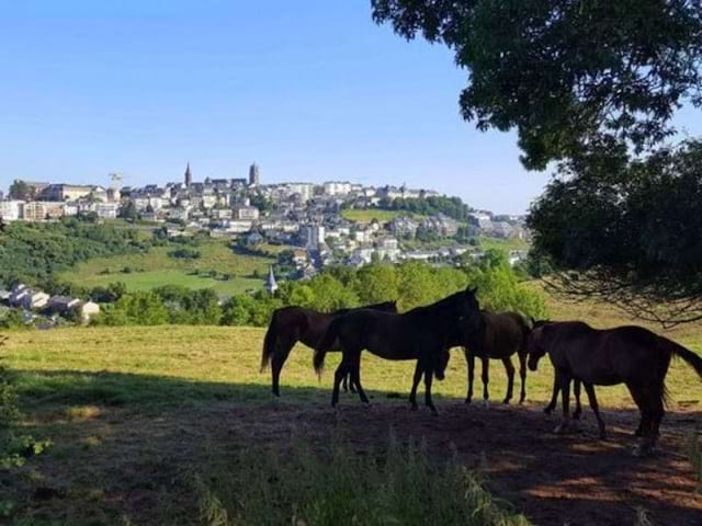 Visite de la campagne en Aveyron durant la colonie de vacances