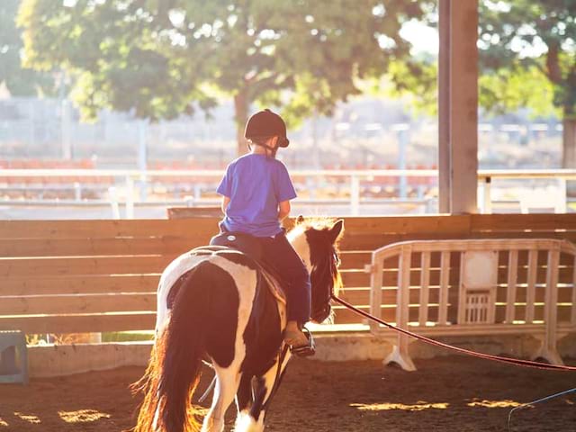 Séance d'équitation en colonie de vacances été