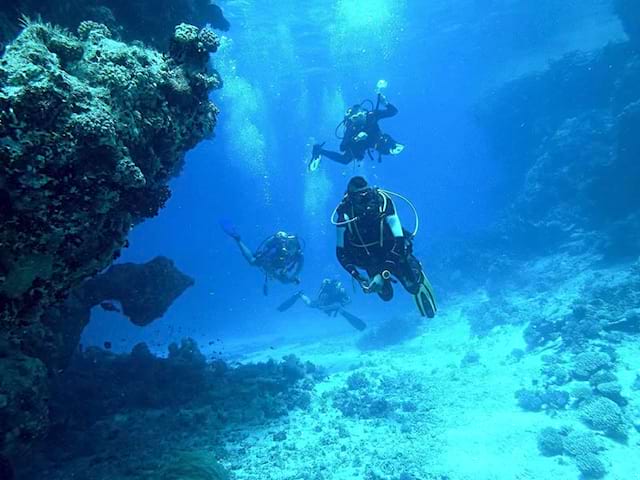 Un groupe d'ado en colonie de vacances en activité plongée sous-marine en été en Bretagne