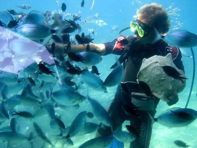 Un adolescent en colonie de vacances entouré de poisson devant une activité plongée sous-marine