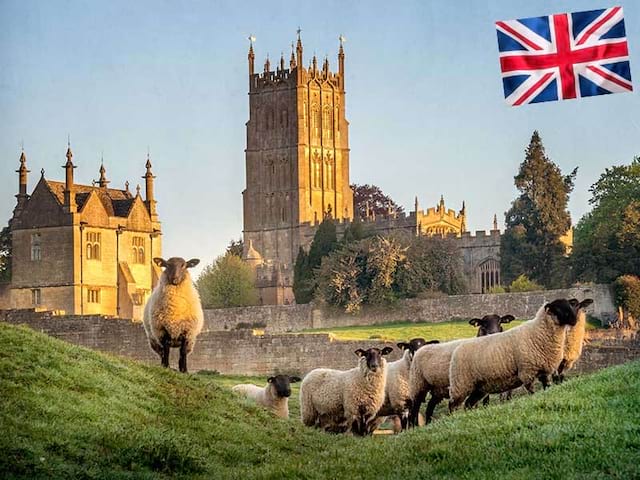 Château d'Angleterre et ses moutons en été