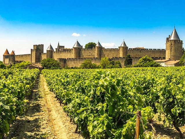 Vue sur Carcassonne en colonie de vacances Occitanie cet été 