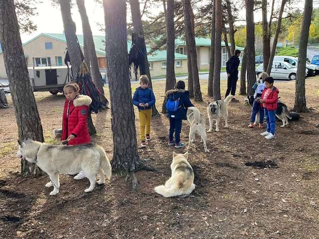 Activité cani rando en colonie de vacances durant la Toussaint