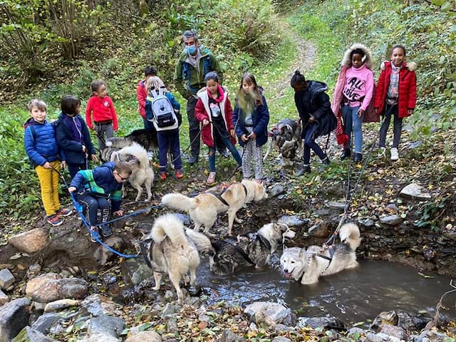 Activité cani rando en colonie de vacances durant la Toussaint