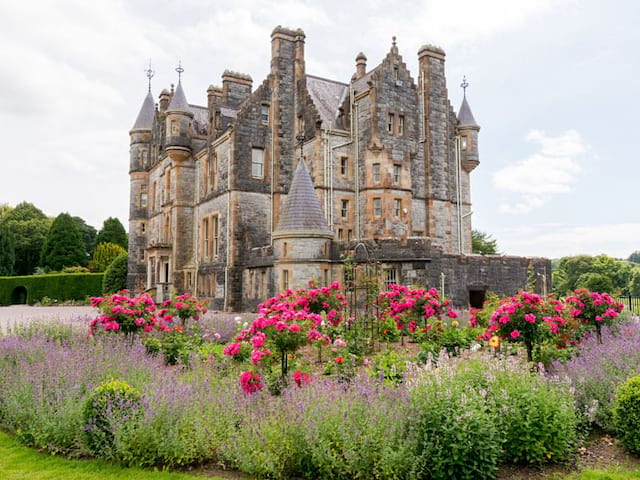 Paysage irlandais fleuri observé lors d'une colo de vacances en Irlande cet été