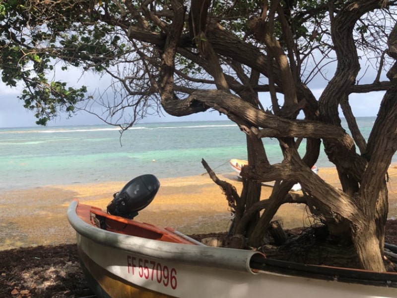 Vue sur un sublime paysage de Martinique en colonies de vacances cet été