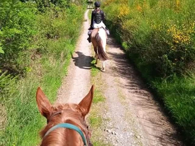 Colonie de vacances Equitation pour ados cet été