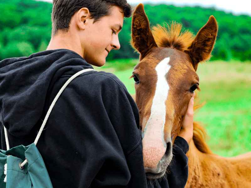 Jeune garçon en colo de vacances Equitation cet été pour les 13-17 ans en Auvergne
