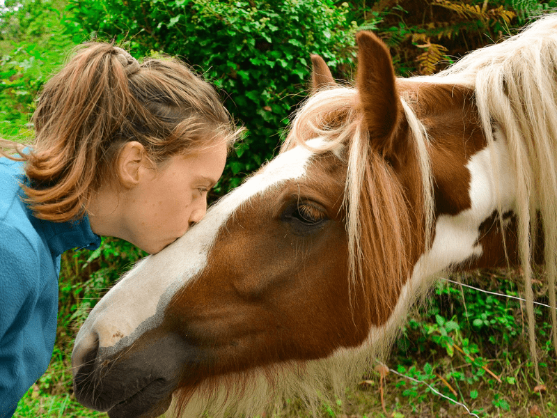 Ado qui embrasse son cheval en colonie de vacances Equitation en Auvergne cet été
