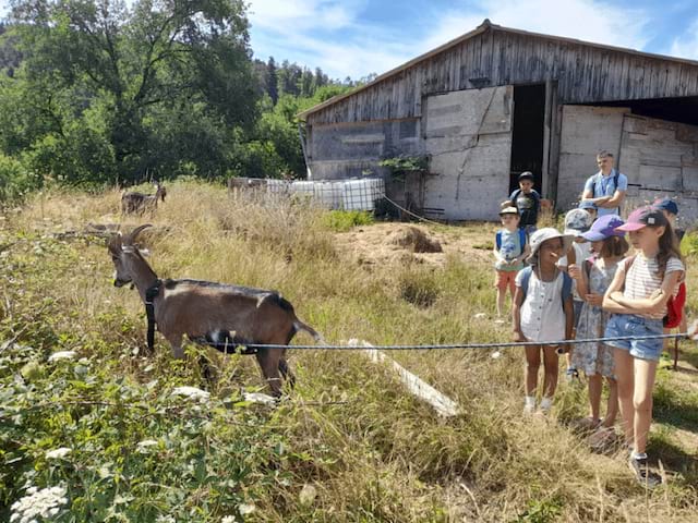 Activité visite de ferme pédagogique en colonie de vacances Cuisine cet été 