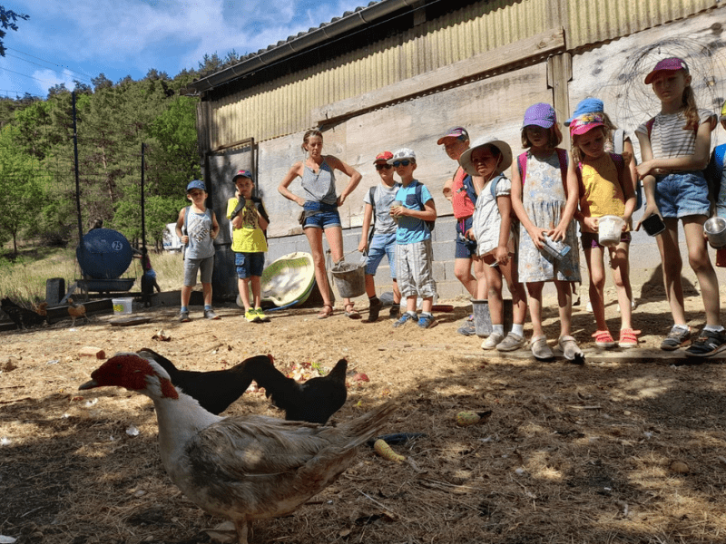 Activité visite de ferme pédagogique en colonie de vacances Cuisine cet été 