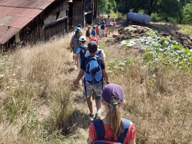 Visite d'une ferme pédagogique en colonie de vacances à Retournac cet été