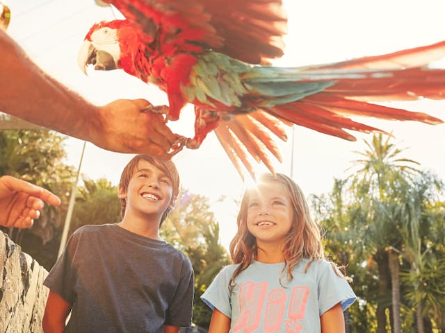 Deux enfants de 12 ans en colonie de vacances pendant l'activité parc d'attraction