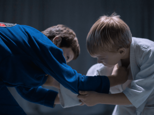 Enfants en colonie de vacances Judo Karaté et Krav Maga cet été en Auvergne