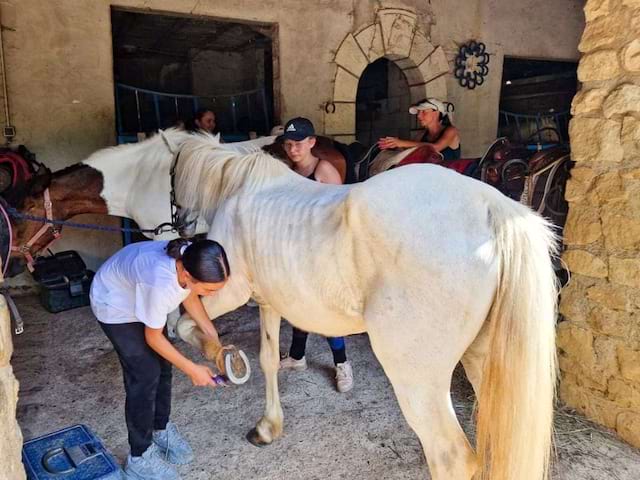 Equitation en colo de vacances cet été