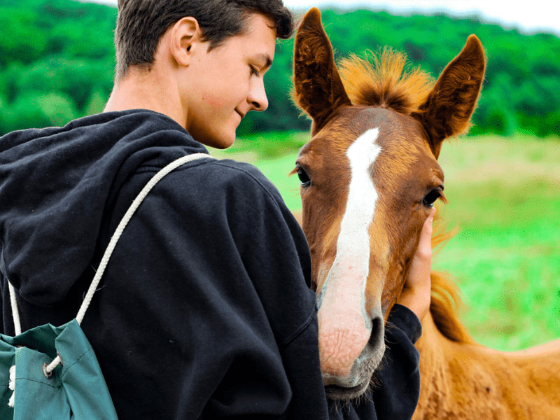 Session équitation en colo de vacances Equitation cet été en Ardèche