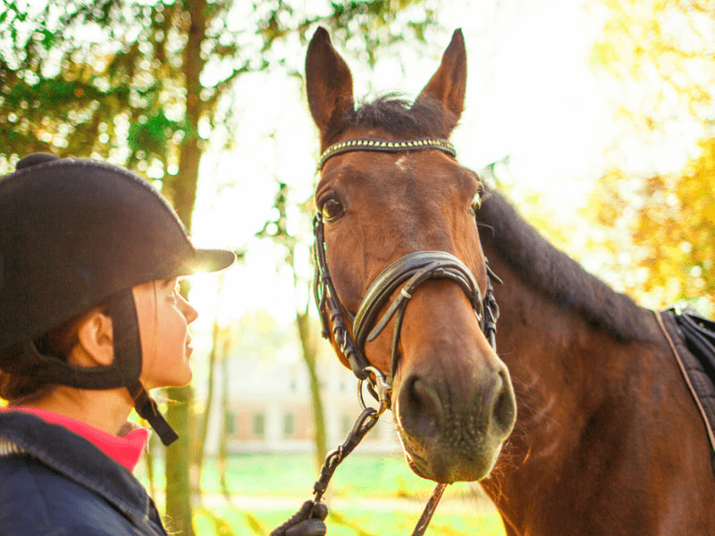 Session équitation cet été en colo