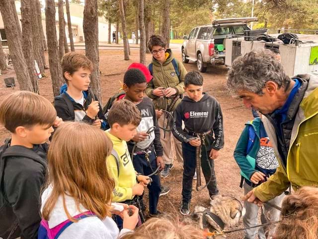 Activité cani rando en colo de vacances cet été à Vassieux cet été