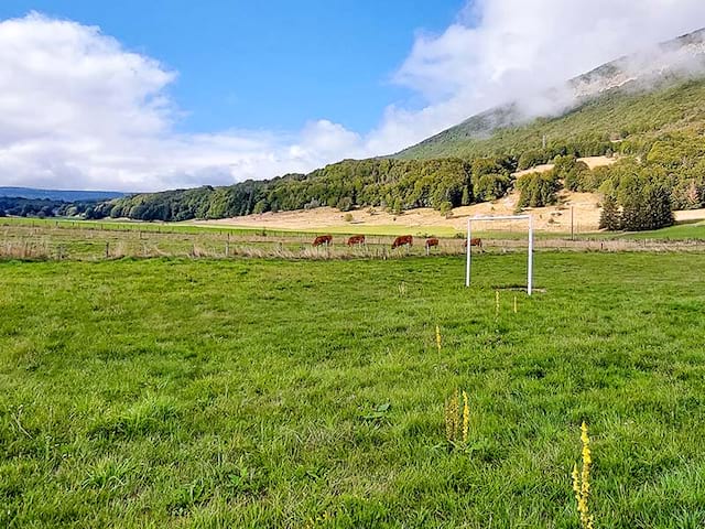 Champs à proximité de notre centre de colo à Vassieux cet été