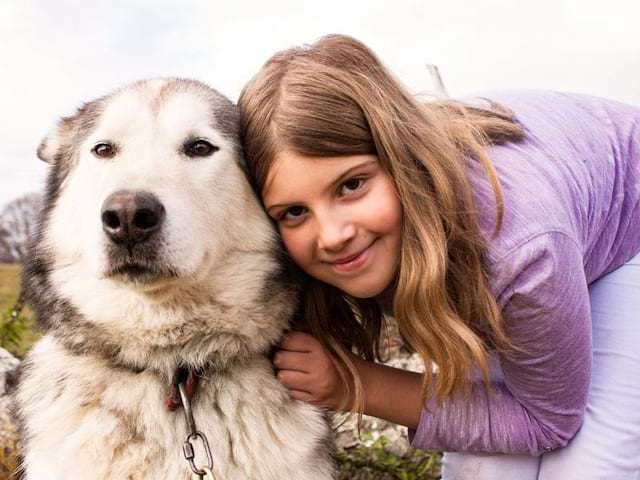 Session cani rando en colo de vacances Cinema cet été à Hauteluce