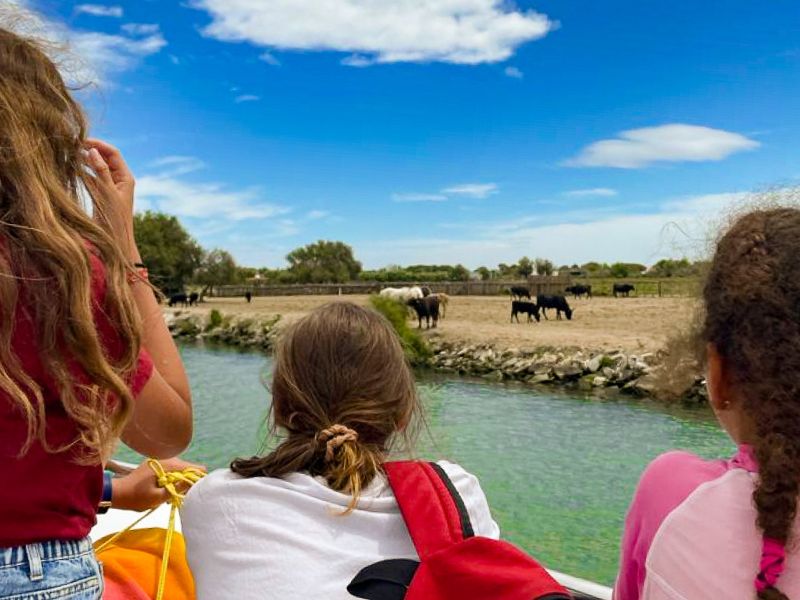 Jeunes en colo de vacances cet été qui font une balade en bateau et voient des taureaux