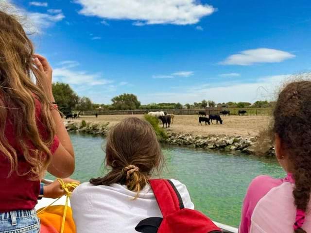 Jeunes en colo de vacances cet été qui font une balade en bateau et voient des taureaux