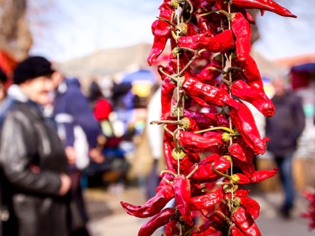 Piments à Espelette en colonie de vacances Balade au pays basque cet été pour ados