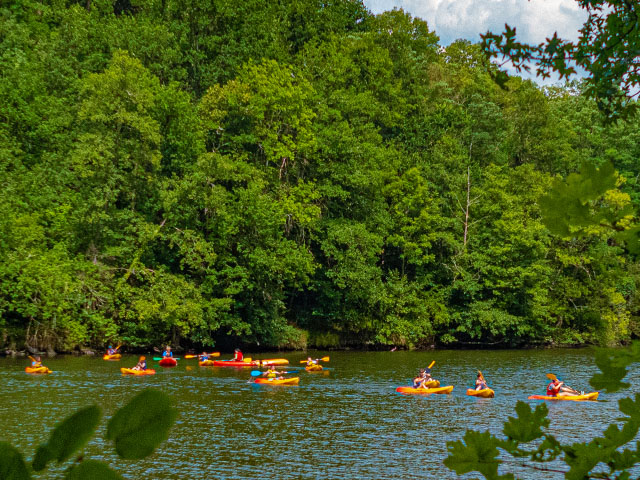 vue sur un groupe de jeunes faisant du canoë kayak cet été