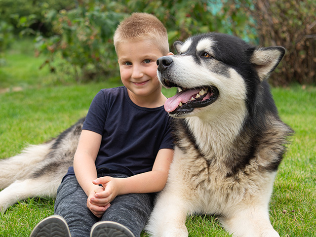 enfant avec chien canirandonnée été