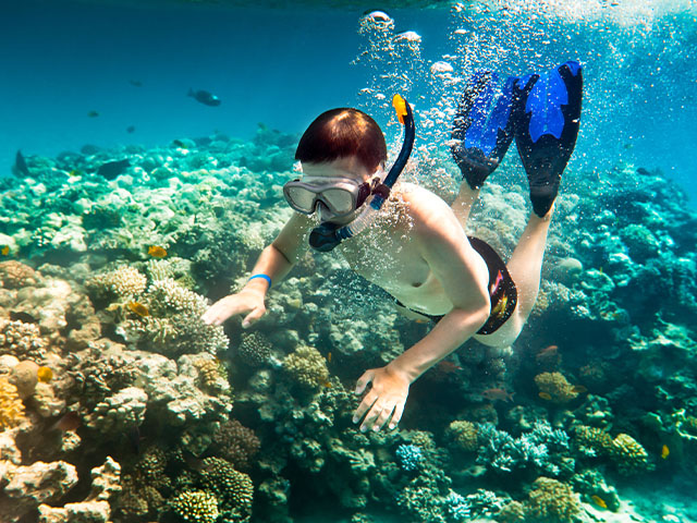 plongée et snorkeling exploration des fonds marins en colo jeunes cet été