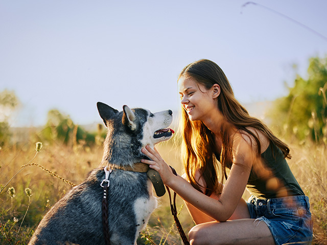 cani rando en colonie de vacances spécial ados en haute loire