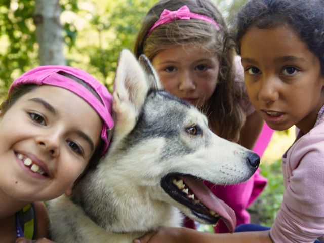 Activité cani rando cet été à Vassieux en Vercors