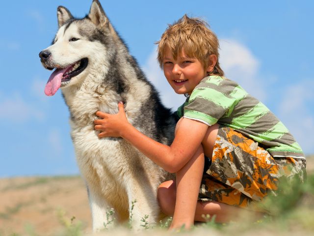 Activité cani rando en colo de vacances cet été