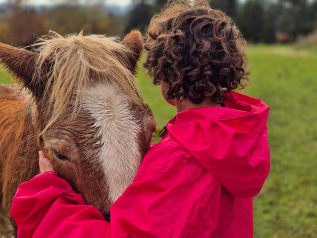 Jeune de 10 ans en colo de vacances équitation cet été
