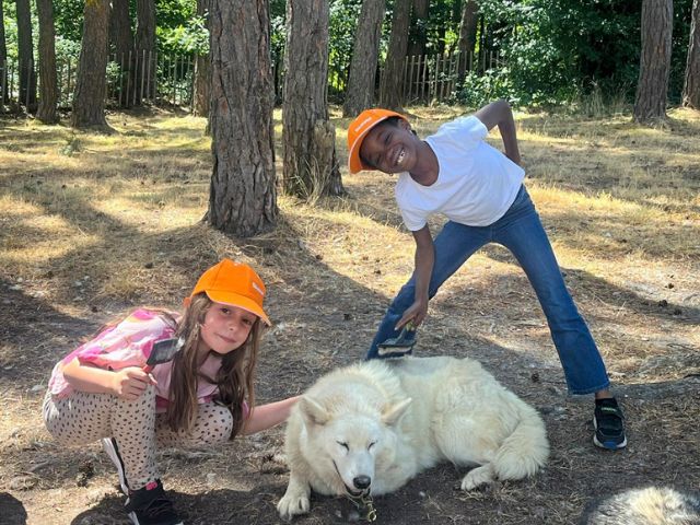 Cani rando en colo de vacances à Retournac cet été