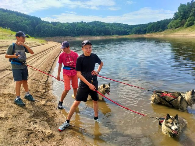 Activité cani rando en colo de vacances cet été