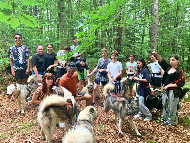 Activité cani rando en colo de vacances cet été