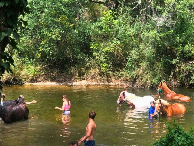 Activité Equitation en rivière cet été 